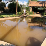 pool-cleanup-guardian-pool-care